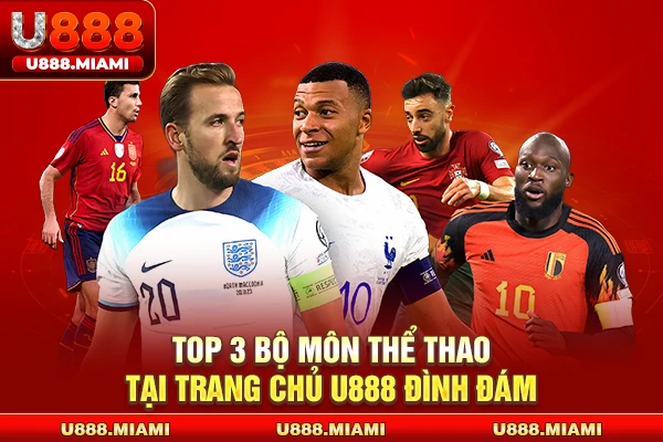 Top 3 bộ môn thể thao tại trang chủ U888 đình đám